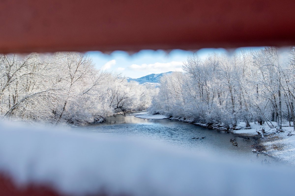 BoiseState's tweet photo. Welcome back Broncos! What a beautiful snowy campus to return to for the first day of spring semester ❄️

https://t.co/pkcBOAMBzZ https://t.co/4FkuVOIwLN