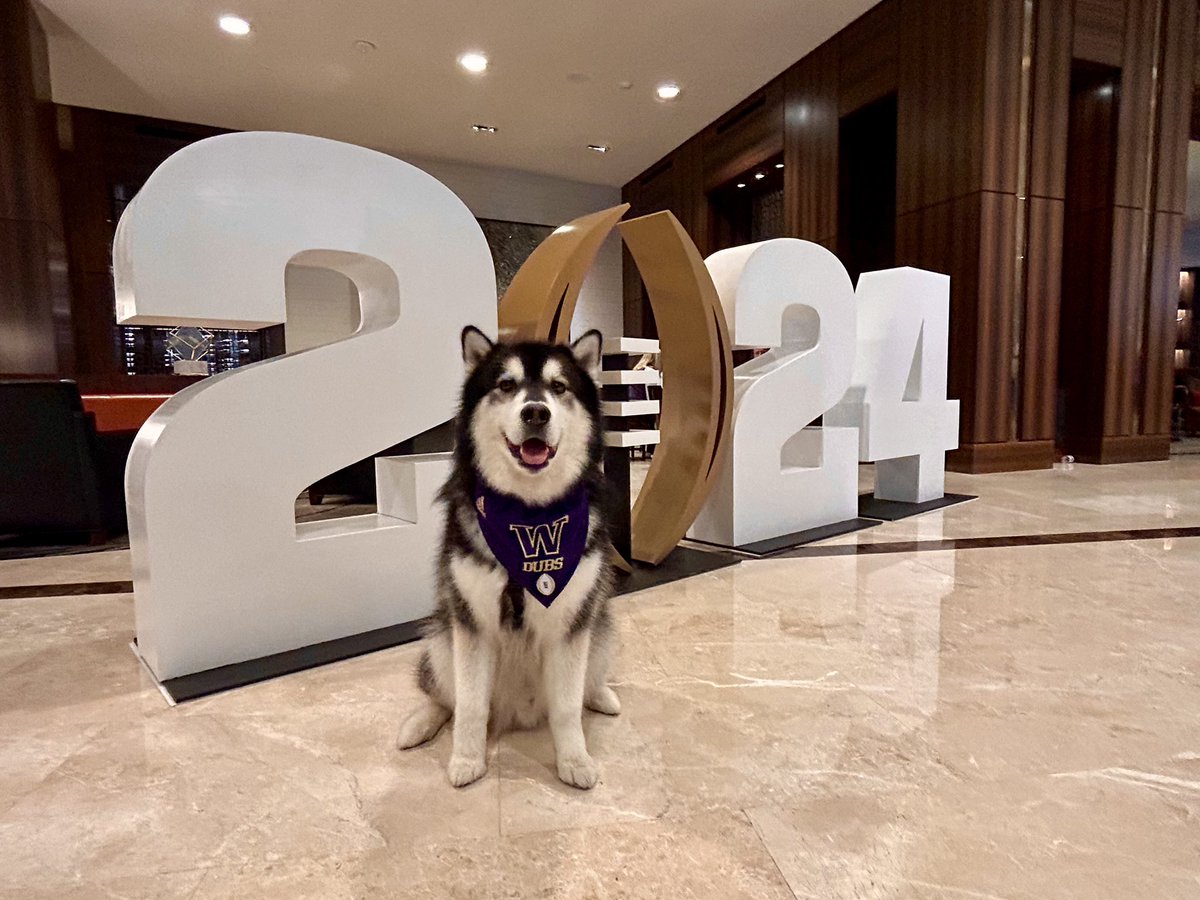 Raleigh_Mark's tweet photo. Go Huskies! https://t.co/84ltbFpi1W