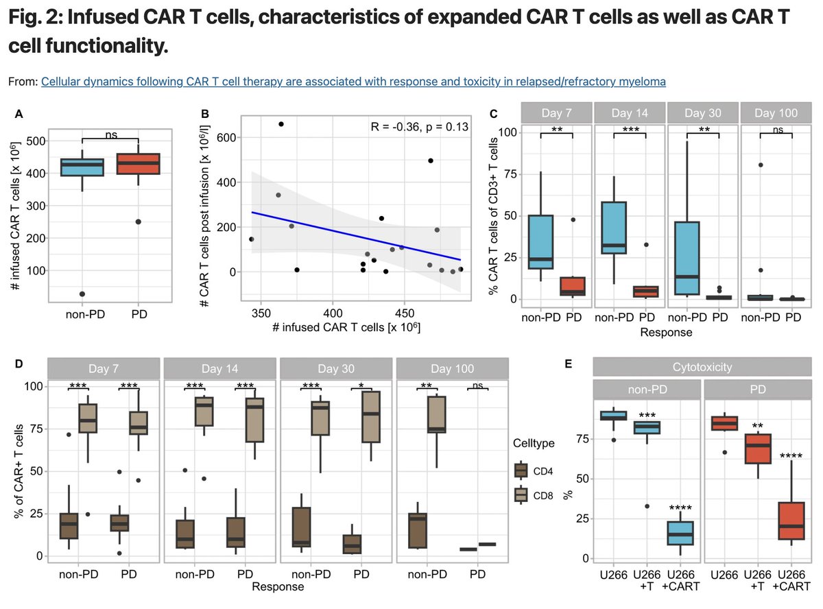 Now in @LeukemiaJnl: amazing #MMsm work by Fischer et al (senior author Merz) with ide-cel! Same principle as with CD19... All CAR T-cells are created equal, but CD8s matter more! And predestination at play? 'Cell composition at day of leukapheresis determines response.' 🤯