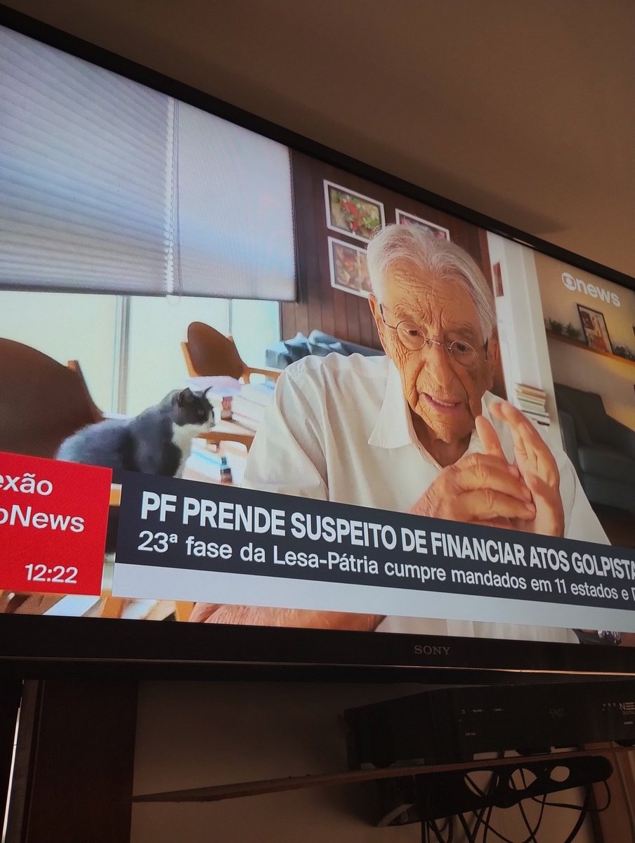 barral_felipe's tweet photo. O gatinho do Gabeira só confirmando que ele é um amorzinho mesmo 🥰 https://t.co/gQXN95J8FK