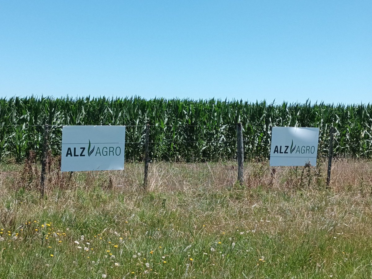 PabloBritosalz's tweet photo. Mira como viene el Alz de Lezama!!!!
@ALZ_Agro @IngFlorBarberis @cm_rossetti https://t.co/HiM7Xnwuy9