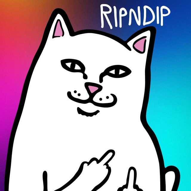 CryptoDeus2's tweet photo. Aped #RIPDIP / Gamble #solana
Clean launch, good volume, Funny name DipRip. Lp burnt and revoque
Find u entry. DYOR.
https://t.co/UtRHFkGsYc
https://t.co/vfk41fyoJ6
https://t.co/bYPrXnz8LK
https://t.co/PzIVcEYTlY
H7Ti1z8jJf5dARqXaADtk72aZEpbZvAt9bPbMu9XczGF https://t.co/EWUpiJhKJe