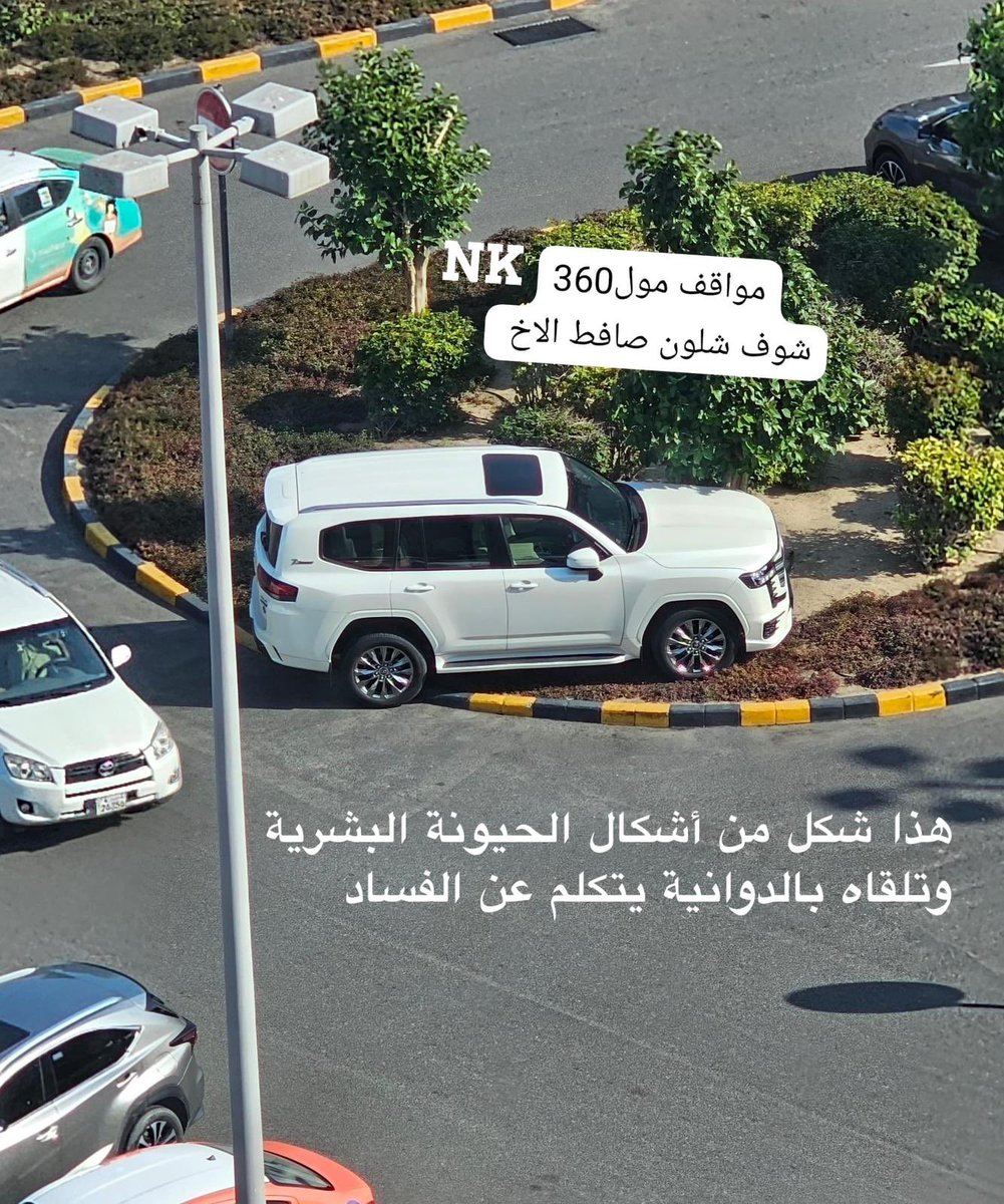 6wee6er's tweet photo. حيوان على اربع تواير https://t.co/wyhiQpuiki