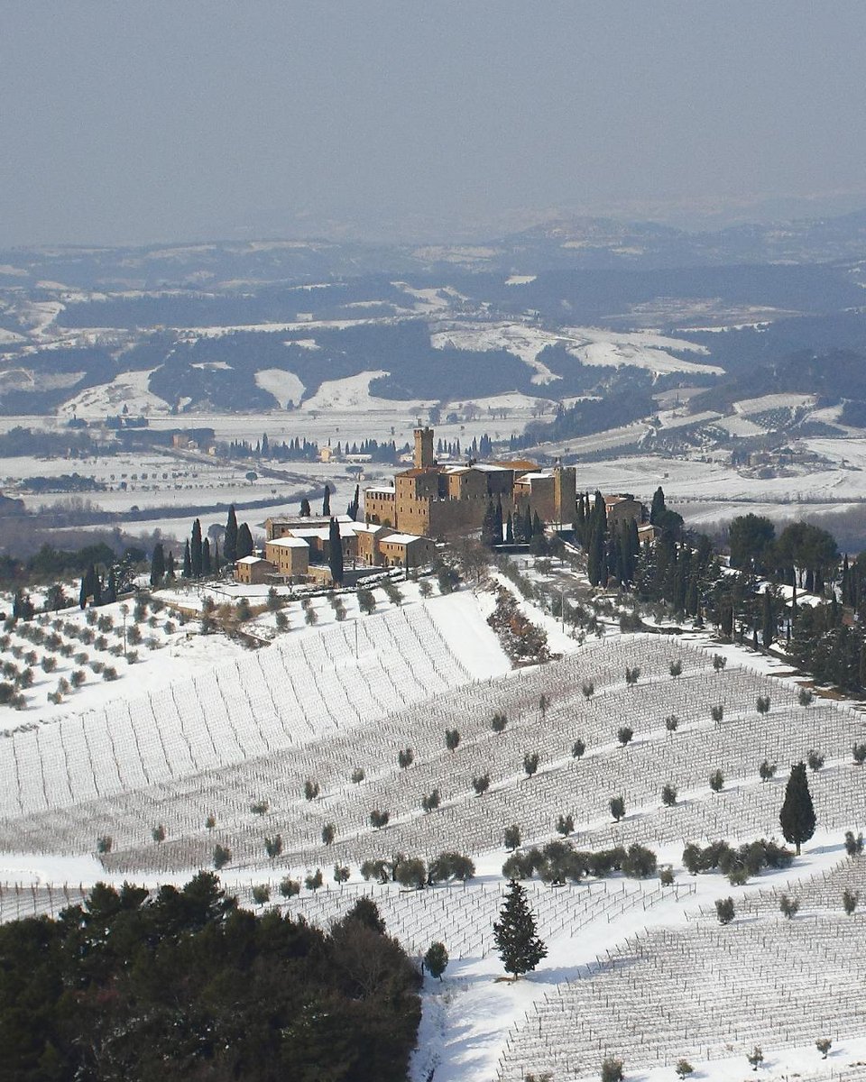 JohnMFodera's tweet photo. Hey Rustic Tuscany 2024 travelers..... You got a little something in your inbox today!   Salute! 
#Tuscanvines #RusticTuscanyTour @cynthia_hayes @bordo0715 @LongeneckerBob https://t.co/uLNUUFgaah