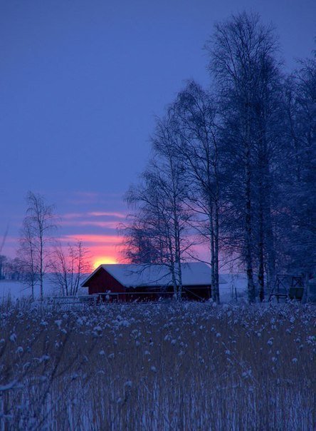 MARY_ESMAEELI tweet picture