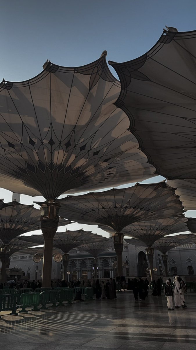 hmodwwf's tweet photo. اللهم أسعدني في أبسط تفاصيل حياتي وقرّب لي الخير حيث كان🌴🤍. https://t.co/4ZIoyGlPVF