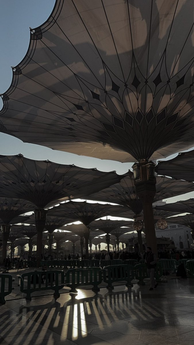 hmodwwf's tweet photo. اللهم أسعدني في أبسط تفاصيل حياتي وقرّب لي الخير حيث كان🌴🤍. https://t.co/4ZIoyGlPVF