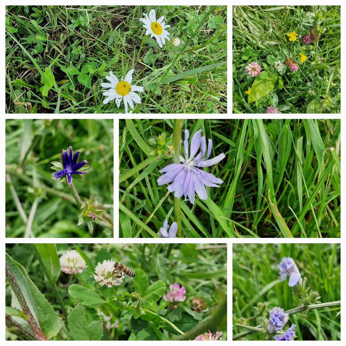 @urgenda.bsky.social tweet media