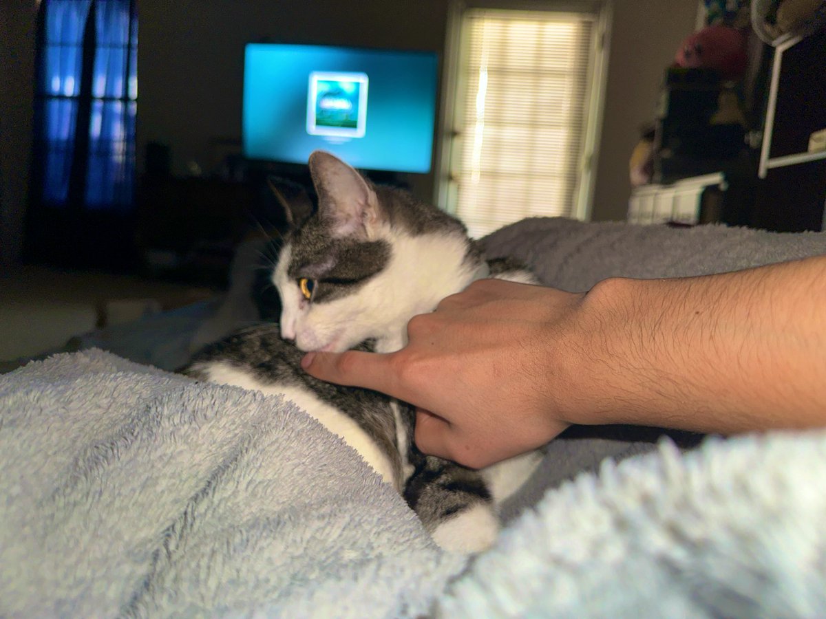 🦂意志🦂Will🦂 tweet media