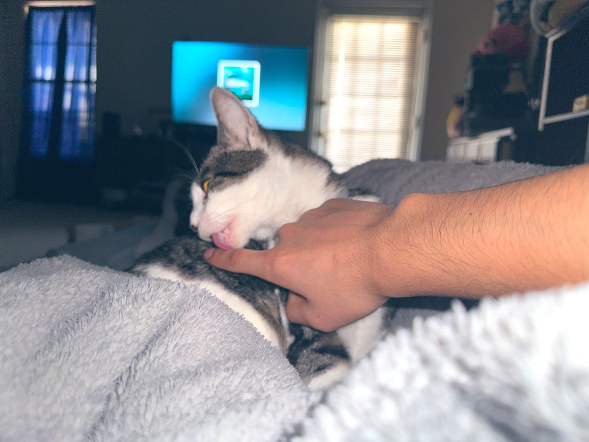 🦂意志🦂Will🦂 tweet media