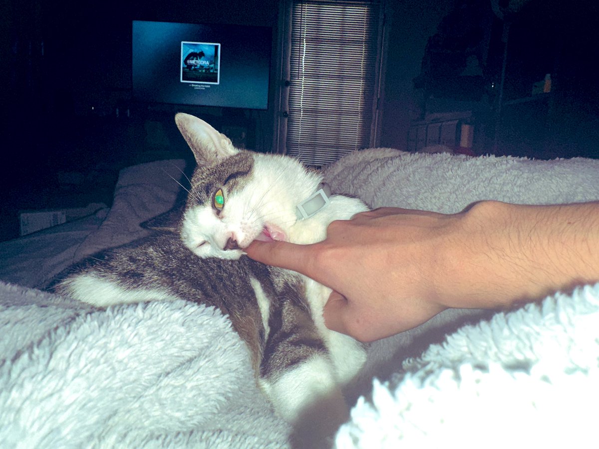 🦂意志🦂Will🦂 tweet media