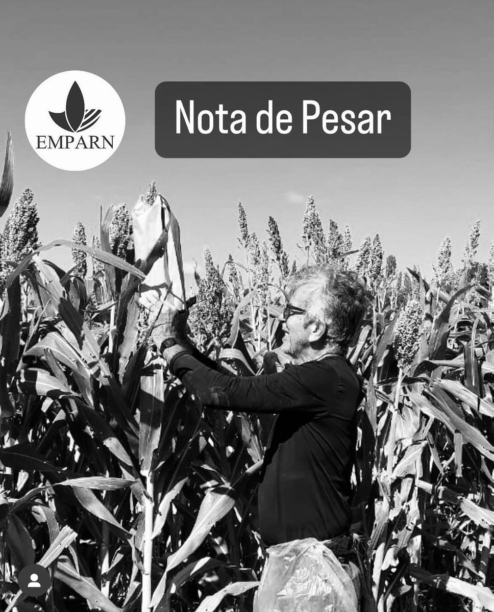 emparn's tweet image. 🤍Nota de pesar pelo falecimento do pesquisador Jorge Torres. 

Pesquisador contribuiu significativamente para pesquisa agropecuária no RN

 shar.es/agf2Ku