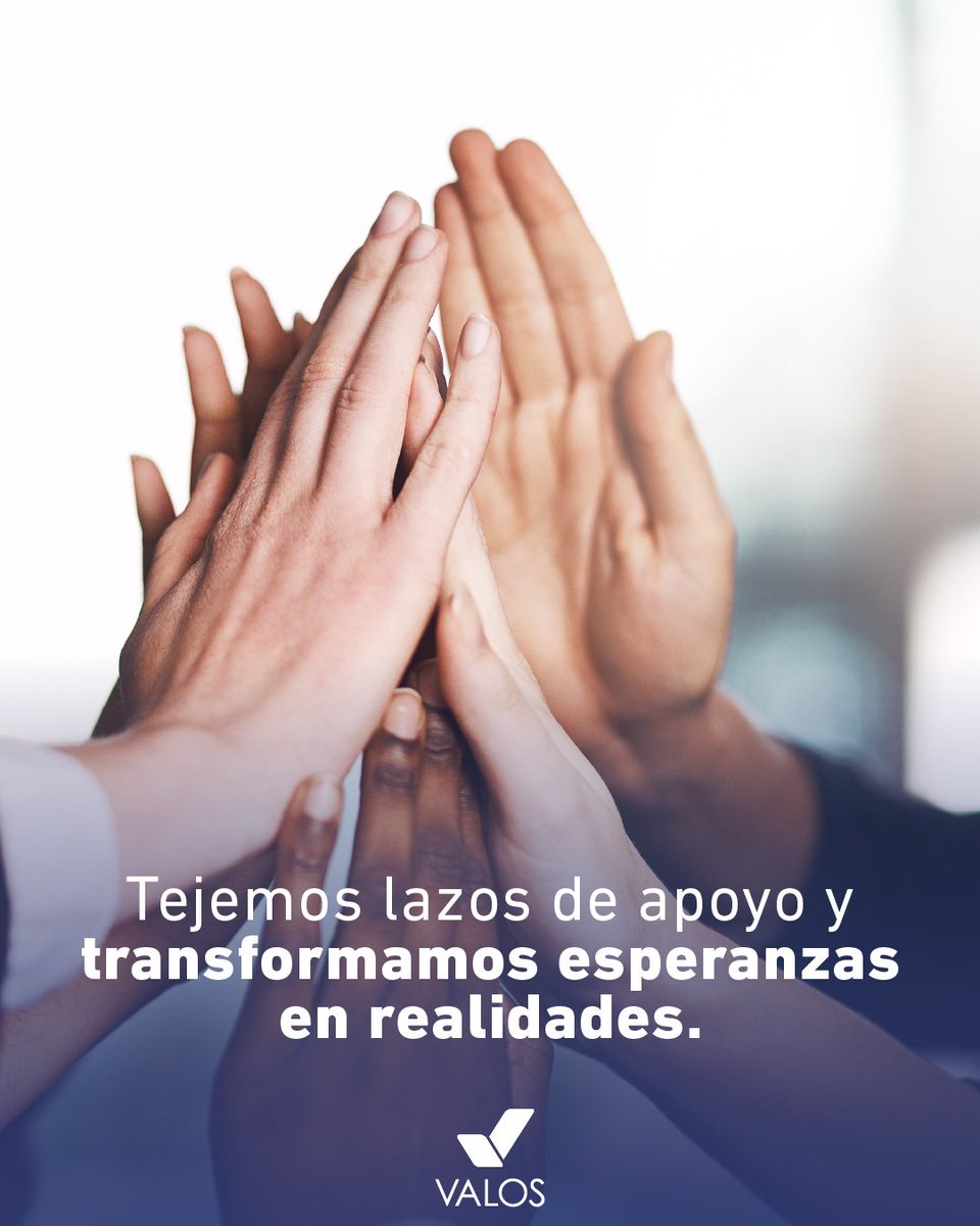 VALOS tweet media