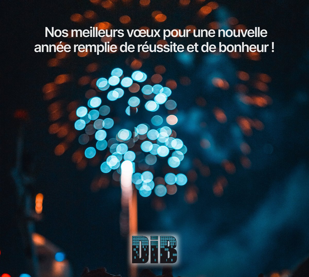 DibFrance's tweet photo. @DibFrance vous souhaite une très belle année 2024 ! https://t.co/SfUZVpLR5C