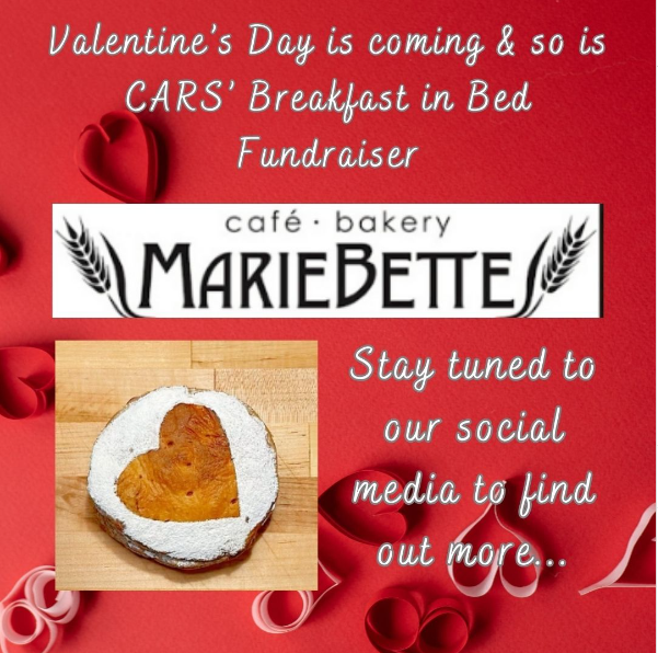 Our @MarieBetteCafe Fundraiser has returned for 2024! Stay tuned for more details...
#charlottesville #albemarlecountyva #rescuesquad #ValentinesDay #volunteers #nonprofit #fundraiser