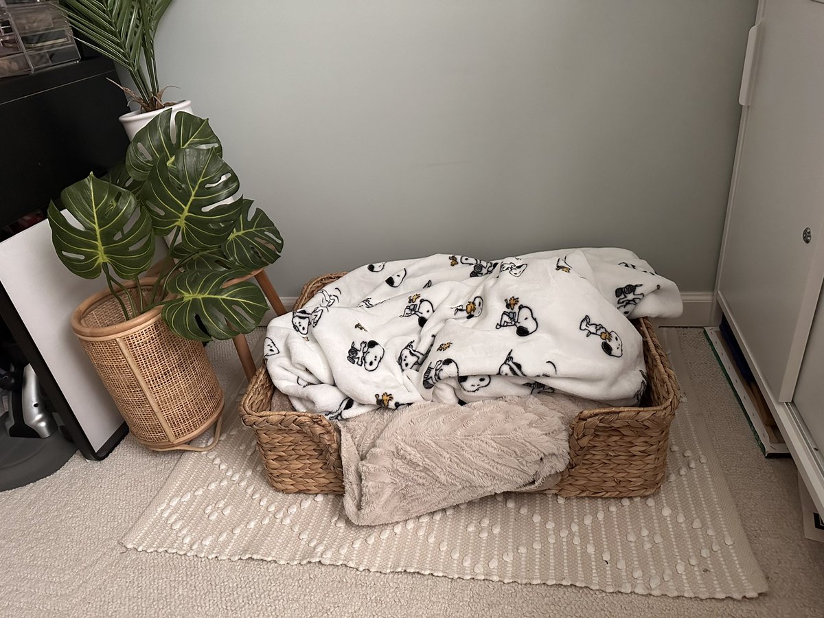 Hiding in plain sight 😴