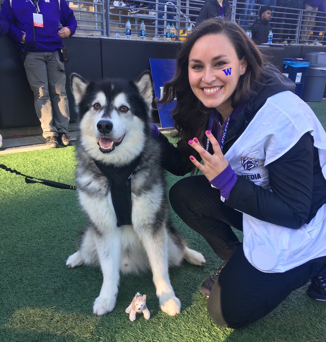 haileyhelber's tweet photo. GOOOOOOO HUSKIESSSS!!! 💜💫💛

Slush will be watching! 🐶 #BowDown https://t.co/BxtN3nUllO