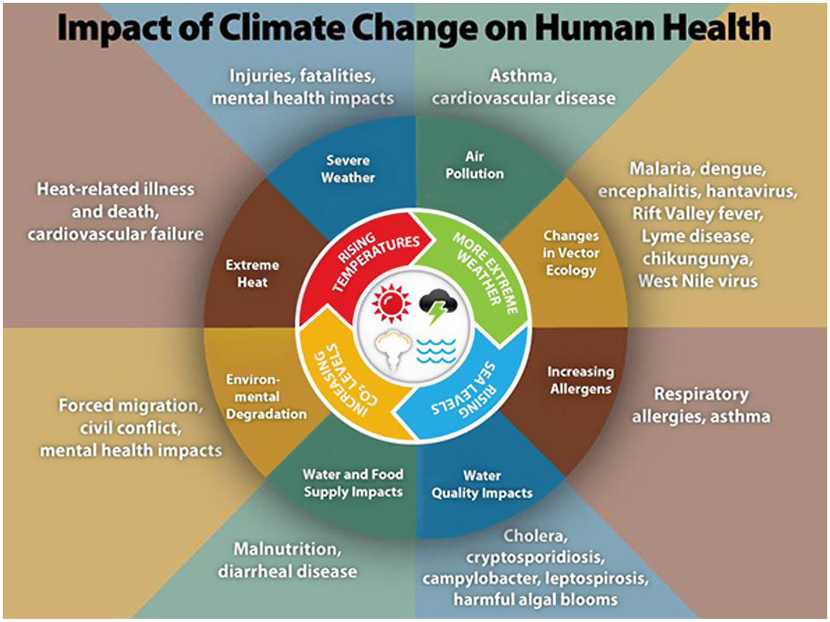 The climate crisis and healthcare: What do infection prevention and stewardship professionals need to know?  bit.ly/3QpvYXs