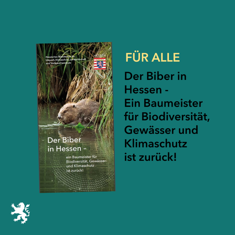 UmweltHessen's tweet photo. Broschüren, Flyer, Postkarten und mehr gibt es auf https://t.co/Qx90QrxPk8 unter #Infomaterial zum Downloaden oder kostenlos zuschicken lassen. Stöbern lohnt sich!