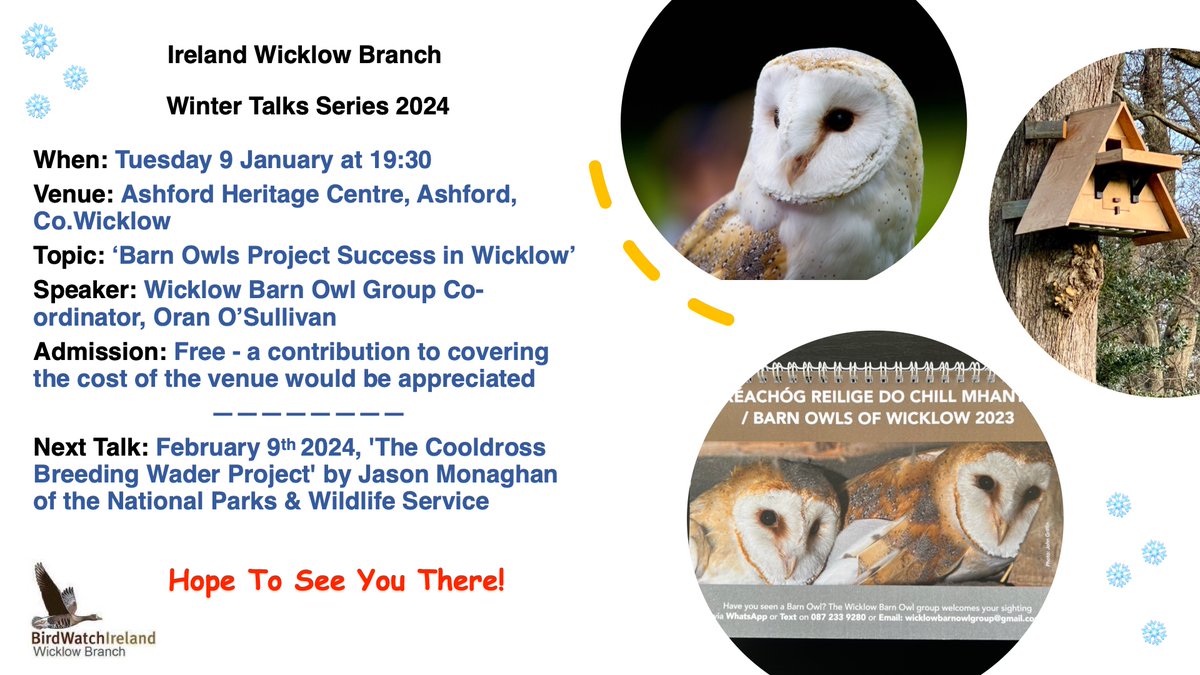 We kick-off our 2024 talks tomorrow with The Wicklow Barn Owl Group's Oran O'Sullivan who will update us on the success of the project so far. Supported by @HeritageHubIRE @wicklowcoco, and staff from @NPWSIreland. Tuesday 9th January, 7.30pm Ashford Heritage Centre.
