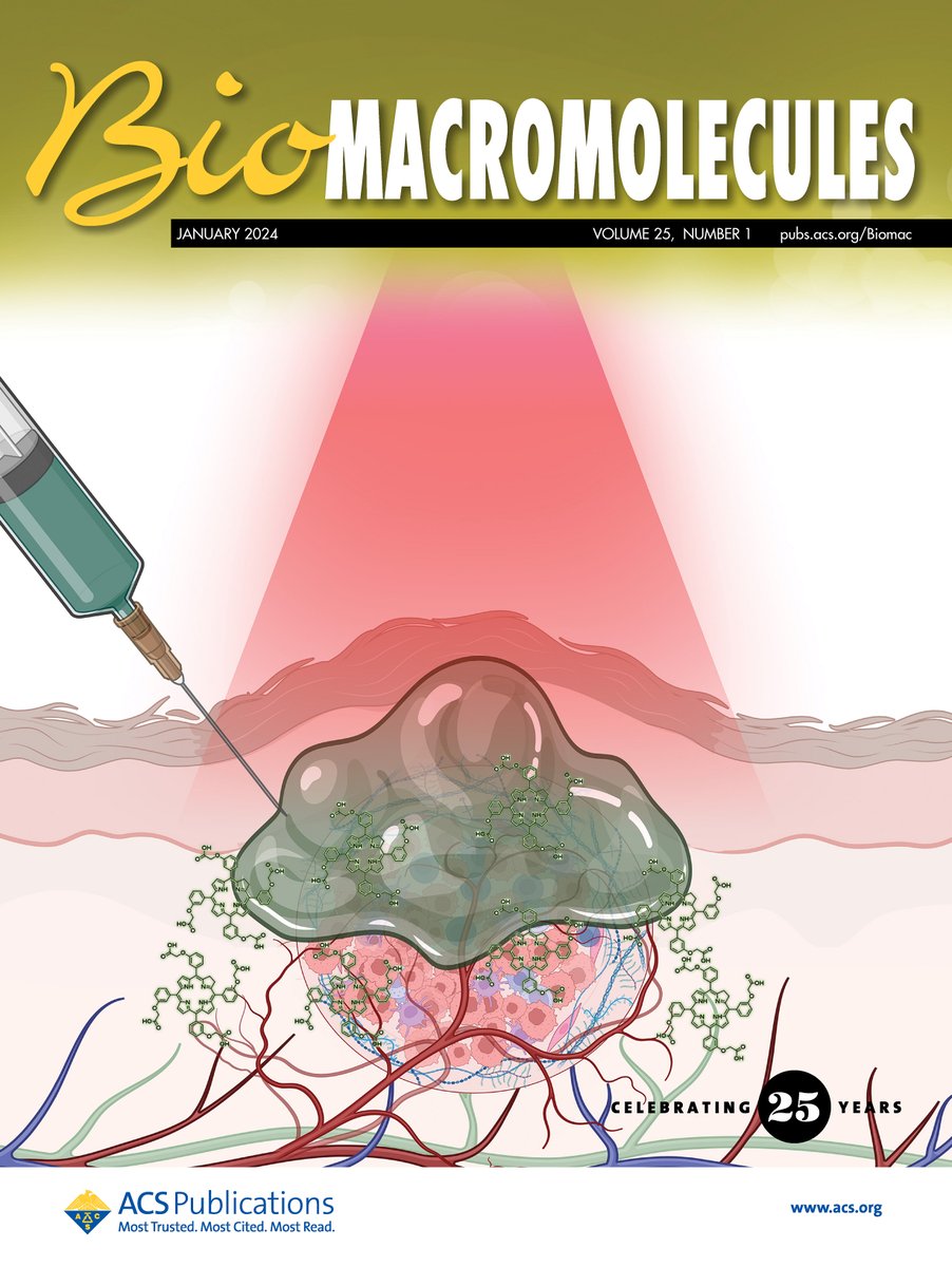 Starting 2024 with a cover publication in #Biomacromolecules  great work on #PDT #hydrogels and #antitumorImmunity by @piotrgierlich and collab. @UnivdeCoimbra @TCD_Chemistry @dannykelly1978 💶: @scienceirel  @fct_pt  @MSCActions #sciart by #MafaldaPenetra pubs.acs.org/doi/10.1021/ac…