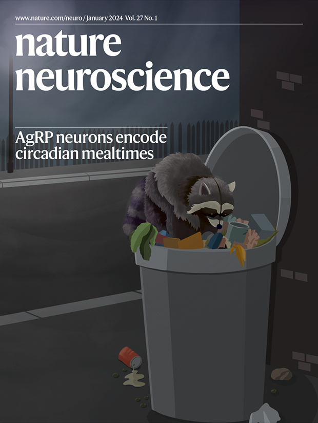 Our trash panda made it to cover for the new issue of @NatureNeuro, highlighting our recent paper on the circuits encoding circadian feeding time. Artwork by @mikbalp