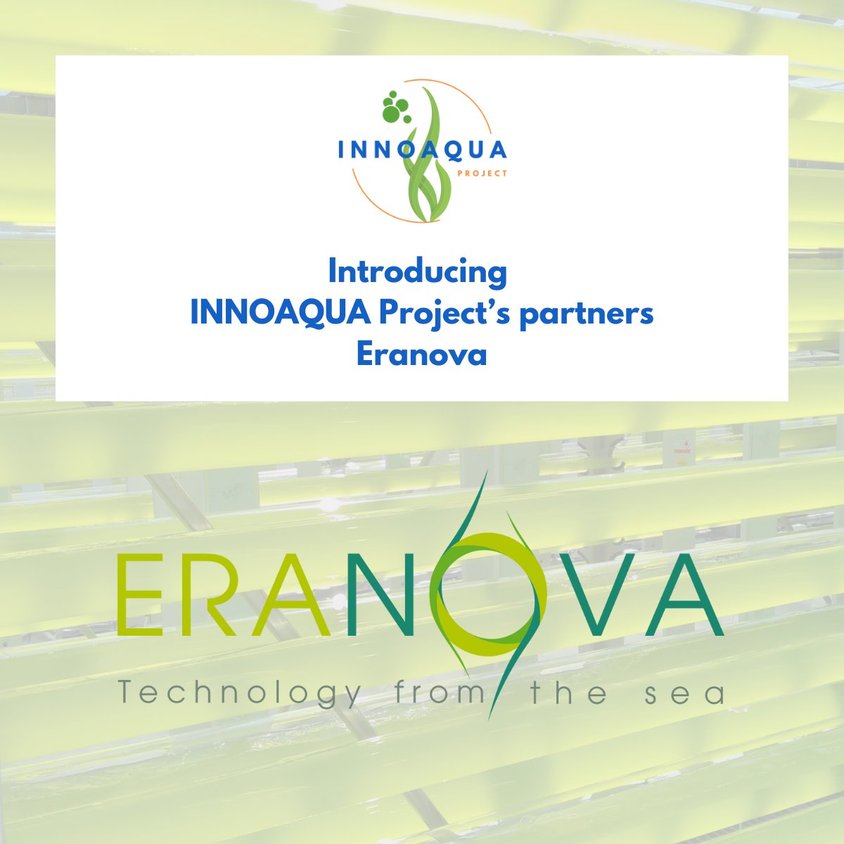 Innoaqua Project tweet media