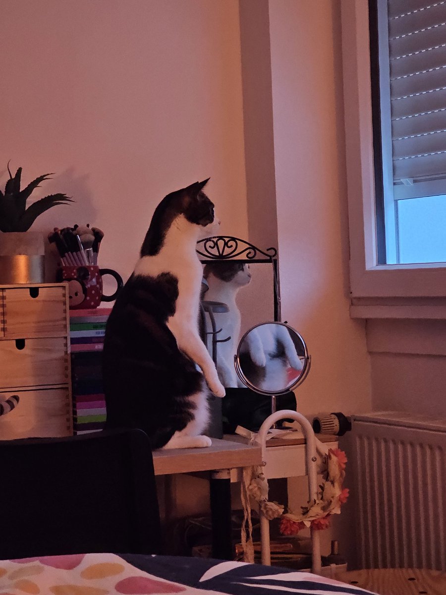 Chaos___Machine's tweet image. Le retour du concierge