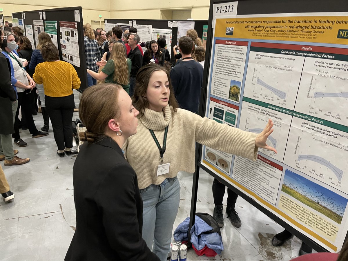 Post-Bac research opportunity application open until January 14! ndsu.edu/researchgroups…
Current post-bac Alexis Trester did a great job presenting at SICB2024! #SICB2024