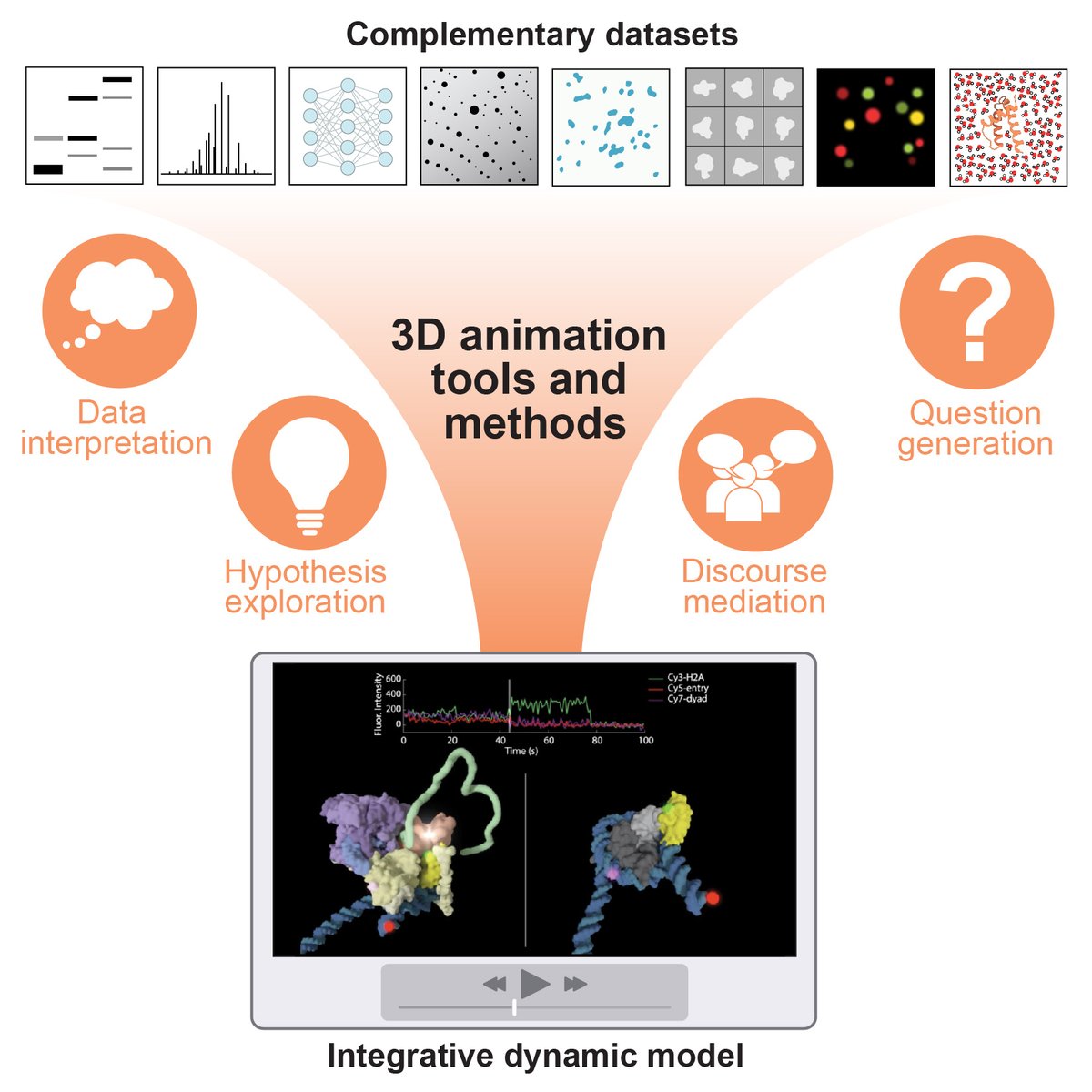 Check out the Animation Lab's latest paper by @MargotRiggi and @torrez_rach that describes how animation tools can be used to model dynamic molecular mechanisms! authors.elsevier.com/a/1iNW63SNvc6o…