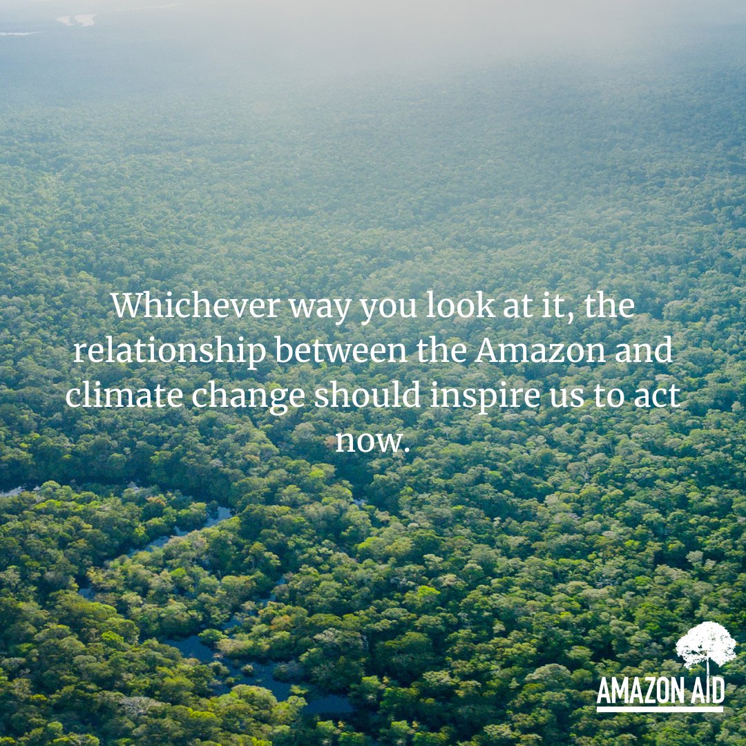 With an estimated 390 billion trees, the Amazon is estimated to contain about 123 billion tons of carbon above and below ground, making it one of the biggest carbon reserves in the world.

More info: amazonaid.org/threats-to-the…