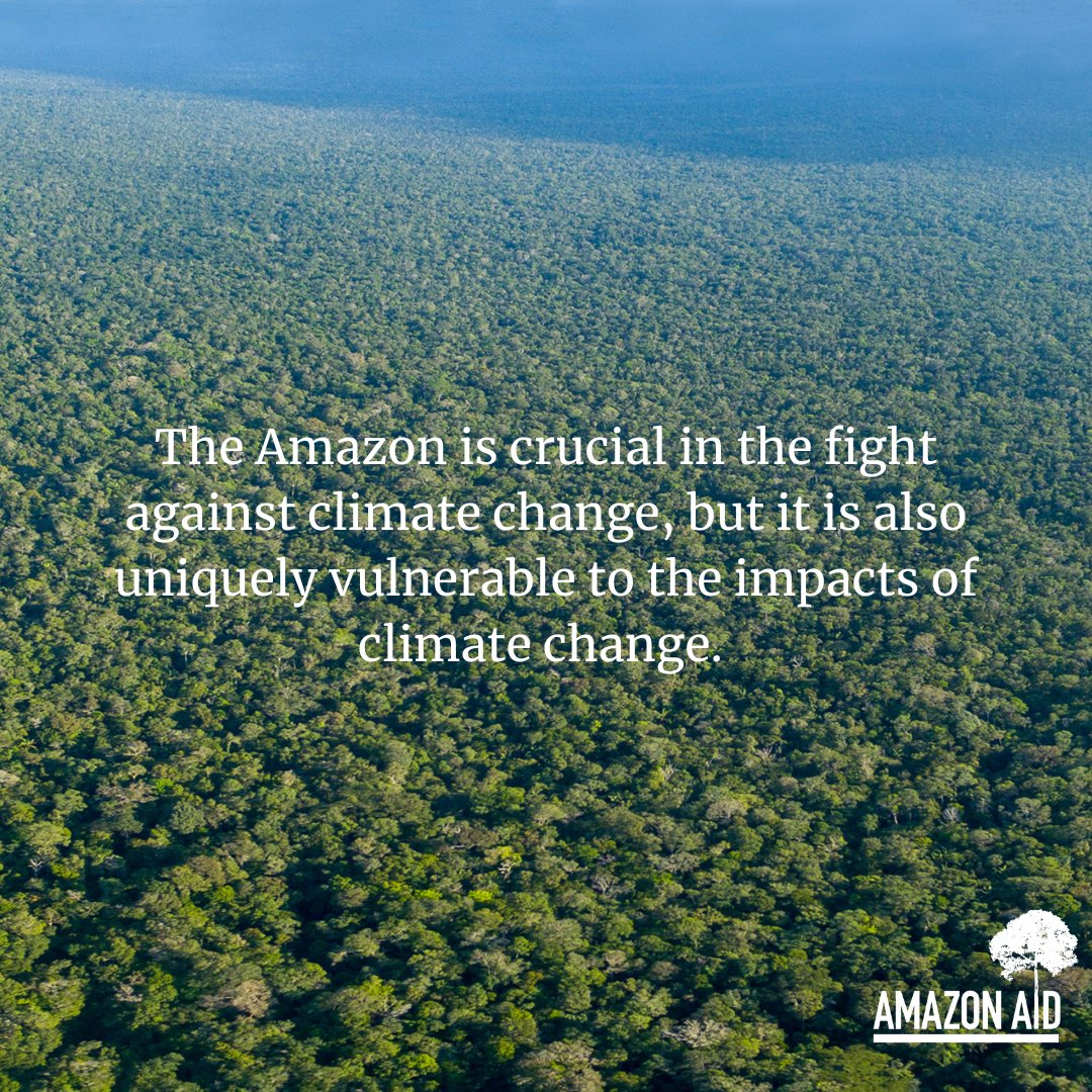 AmazonAidF's tweet image. With an estimated 390 billion trees, the Amazon is estimated to contain about 123 billion tons of carbon above and below ground, making it one of the biggest carbon reserves in the world.

More info: amazonaid.org/threats-to-the…