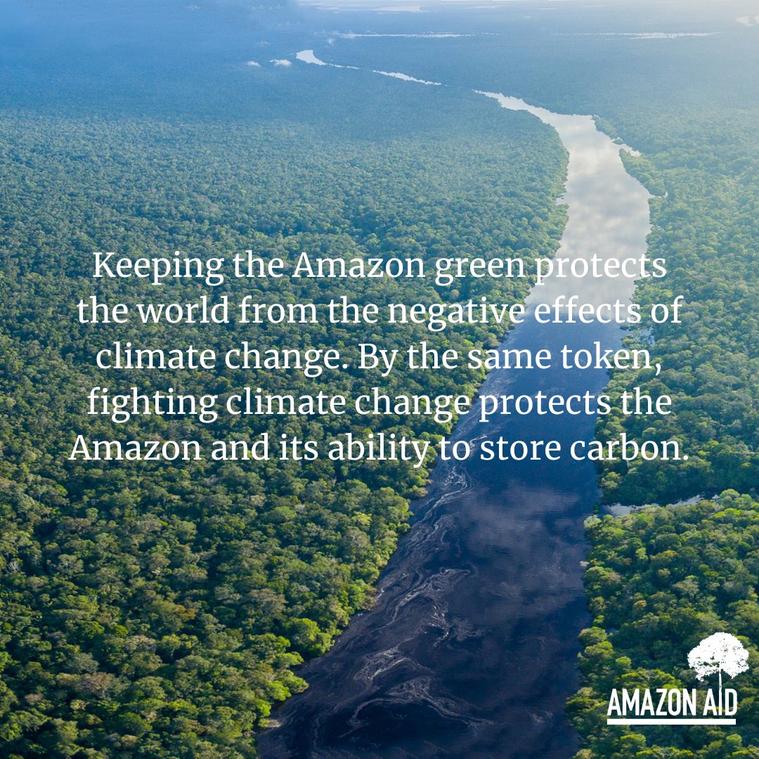 AmazonAidF's tweet image. With an estimated 390 billion trees, the Amazon is estimated to contain about 123 billion tons of carbon above and below ground, making it one of the biggest carbon reserves in the world.

More info: amazonaid.org/threats-to-the…