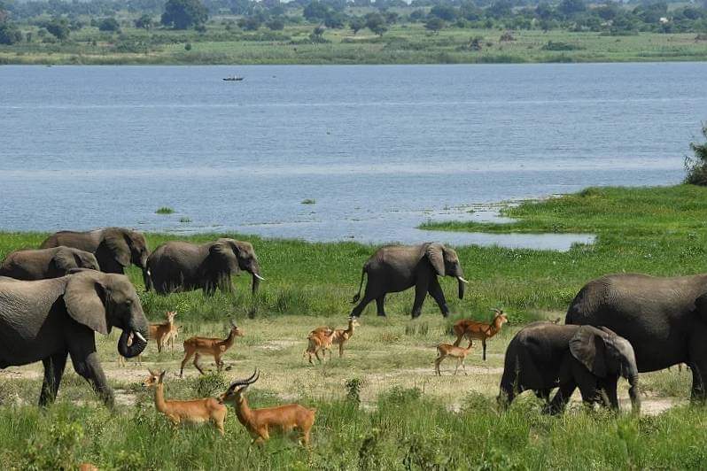 MTWAUganda's tweet photo. Regenerating Tourism is a key part of boosting the economy. Uganda 🇺🇬 is globally recognized as one of the best growing MICE destinations &amp; we couldn't be more proud to host the upcoming #NAMSummitUg2024 &amp; #G77ChinaSummitUg24. Guests will be treated to experiences to cherish! https://t.co/ZymtjFMfXo