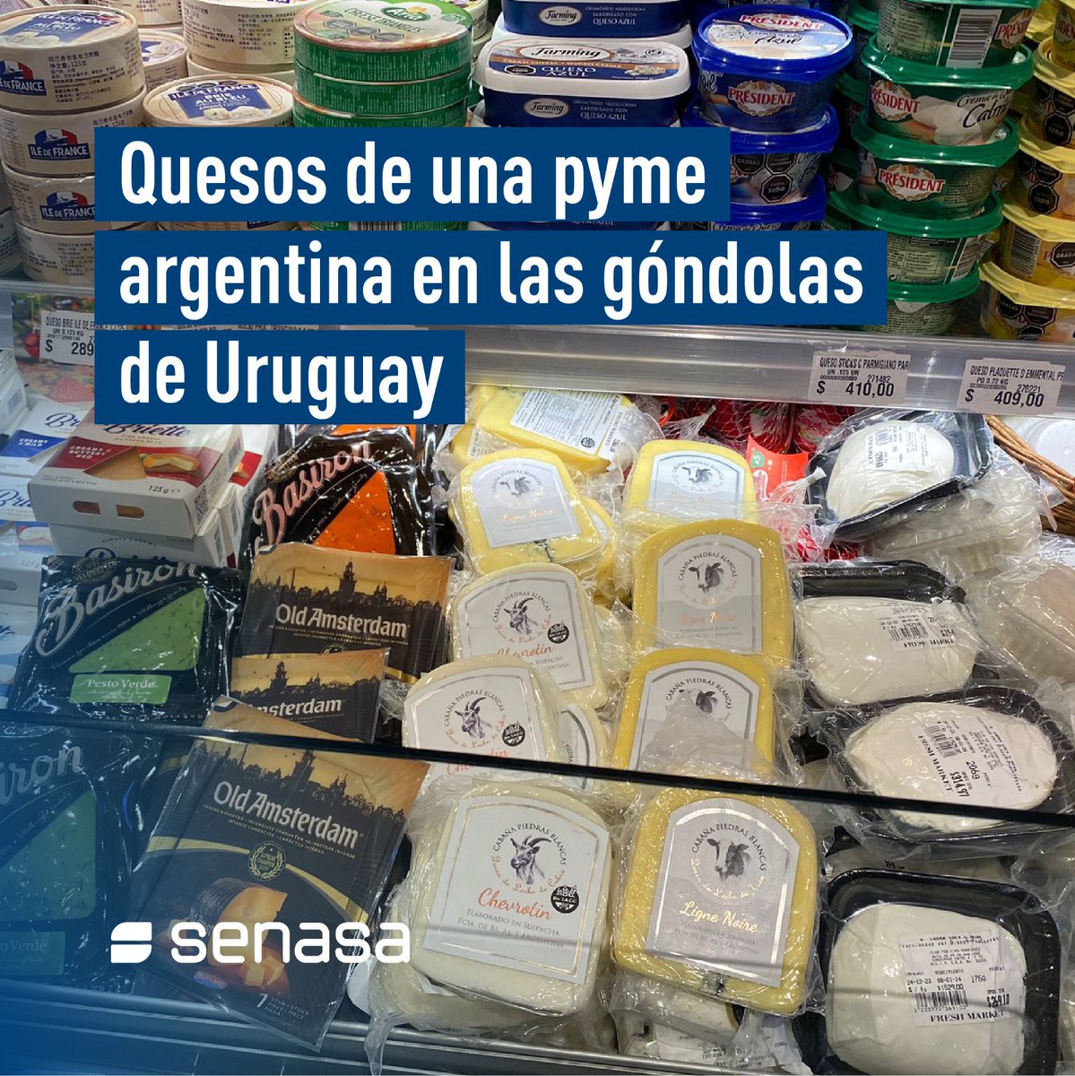 SenasaAR's tweet photo. #ComercioExterior 🇦🇷➡️🇺🇾
Desde Suipacha #BuenosAires certificamos la primera exportación de quesos 🧀 (de vaca y cabra), realizada por una pyme del sector, con destino a Uruguay. https://t.co/MKEEDne1uK