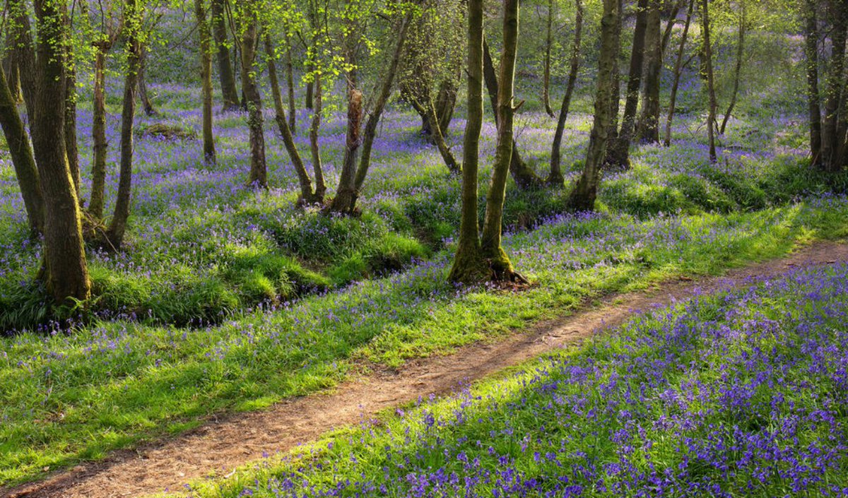 KICK START THE #NewYear by charting the course to The Path to Vibrant Health. 
Choose To Live A Healthier Lifestyle  
Stick to Something that's Attainable
Reclaim Your Life! Stress Free
Get Outdoors For fresh Air And Exercise Daily
#NewYear #HealthyLiving  #lifestyle #exercise