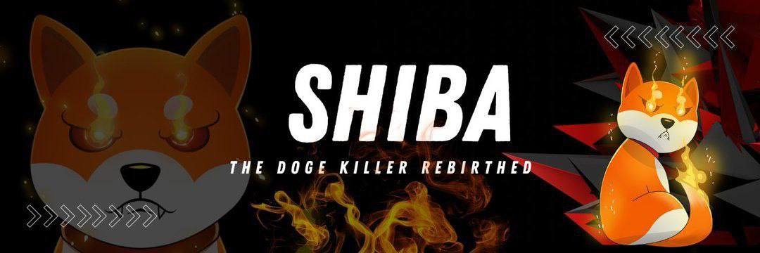 CryptoLord88ETH's tweet photo. @2023Shiba @GeckoTerminal @GeckoTerminal you can be the first to list #Shibachain and that will put you in the spotlight once we really get going. i'm really impressed with what's being built and how well everything is working. #SHIBA #BONES https://t.co/NIvj6RMDLw