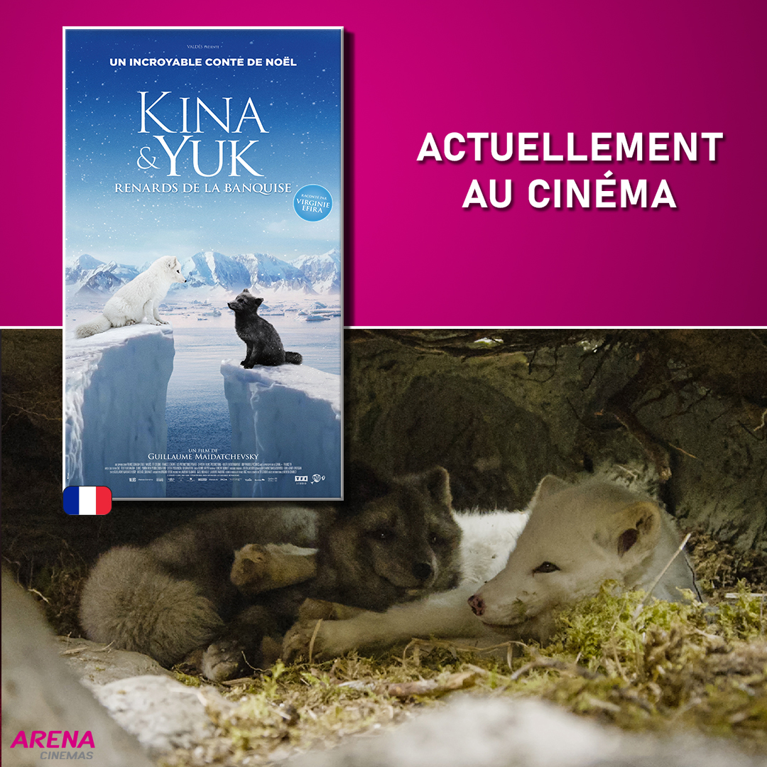 ArenaCinemasGE's tweet photo. ✨Actuellement dans vos salles ARENA Cinemas✨

- Les Trois Mousquetaires : Milady
- Kina &amp; Yuk : renards de la banquise
- Chasse gardée
- Aquaman et le Royaume perdu

#arenacinemasfr #grandecran #fribourg #fribourgregion #bulleregion #bonmoment #popcorn #famille #4dx #screenx https://t.co/vaV4DfTgcs