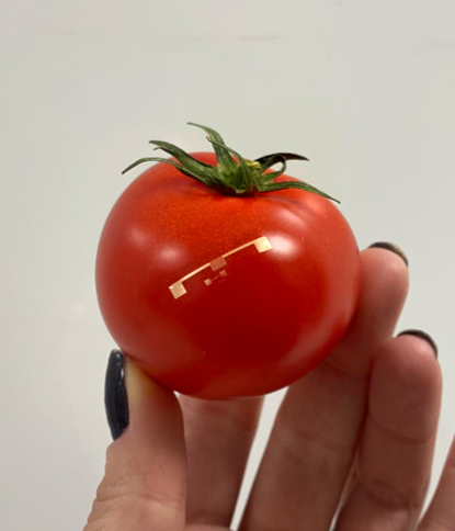 PME - Printed and Molecular Electronics (@caironipme) on Twitter photo 📣We are hiring!! Interested in Edible Electronics? We have two postdoc openings: one on Edible Circuits within the ERC Project "ELFO" iit.taleo.net/careersection/…
and one on Edible Sensors within the H2020 FET Project "ROBOFOOD" iit.taleo.net/careersection/…
<a href="/ElfoPME/">ELFO - Electronic Food</a> <a href="/robo_food/">RoboFood</a> <a href="/IITalk/">IIT</a> 📣We are hiring!! Interested in Edible Electronics? We have two postdoc openings: one on Edible Circuits within the ERC Project "ELFO" iit.taleo.net/careersection/…
and one on Edible Sensors within the H2020 FET Project "ROBOFOOD" iit.taleo.net/careersection/…
<a href="/ElfoPME/">ELFO - Electronic Food</a> <a href="/robo_food/">RoboFood</a> <a href="/IITalk/">IIT</a>