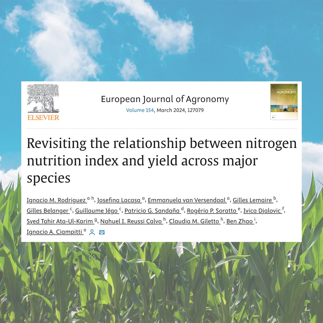 CiampittiLab's tweet photo. #ArticleAlert🚨

Our study dives into cross-species NNI-yield relations, revealing insights on N deficiency sensitivity and optimal sampling moments for major grain crops. Enhancing crop nutrition diagnostics for better farming practices

👉🏼https://t.co/D3waPhpky5 https://t.co/7POFtWdhgZ