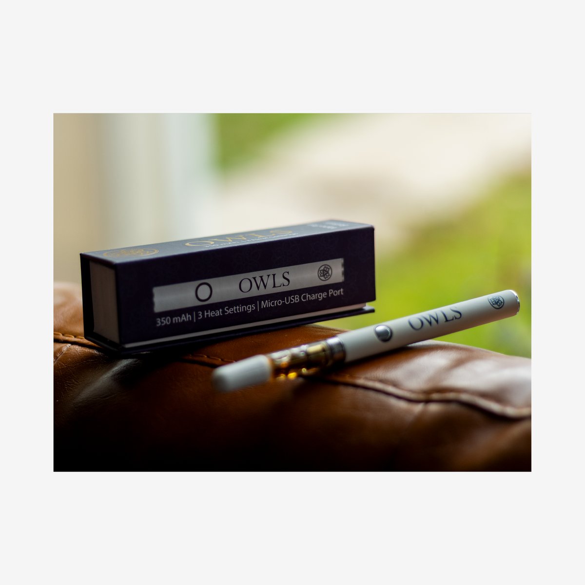 Owls Oil tweet media