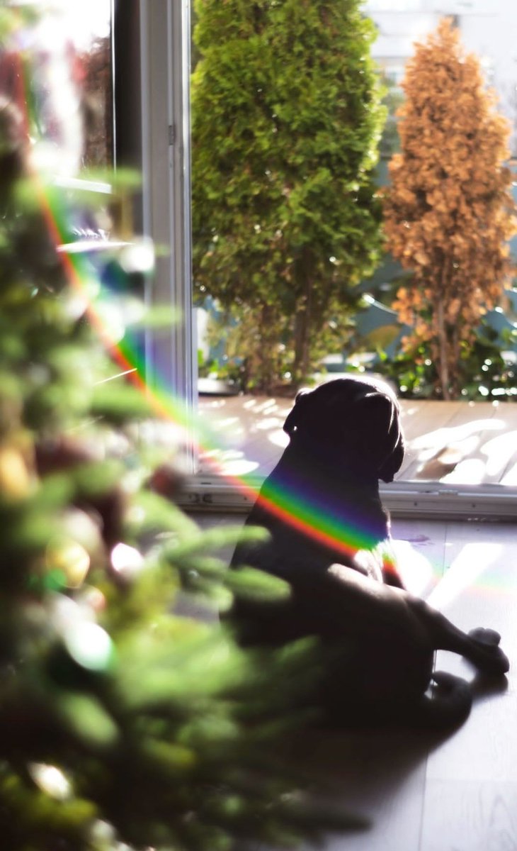 rainbow loves me 🌈