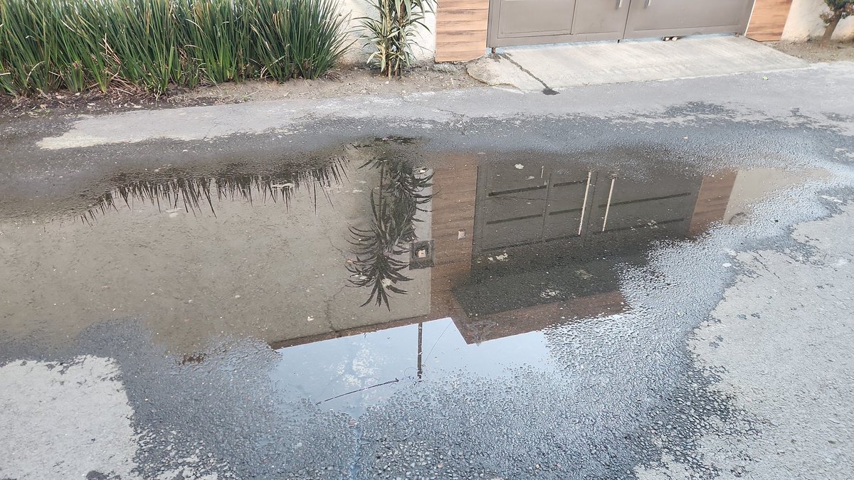 albert_lgrd's tweet photo. Sigue sin ser reparado FUGA DE AGUA, CERRADA DE FORESTAL TLALPAN COL ARENAL DE GUADALUPE @alfagonzalezm @SSC_CDMX @SSPCMexico @EnTlalpan @TlalpanVecinos @SoloenTlalpan @TlalpanConscien @TlalpanCivico https://t.co/03kQMPnysz