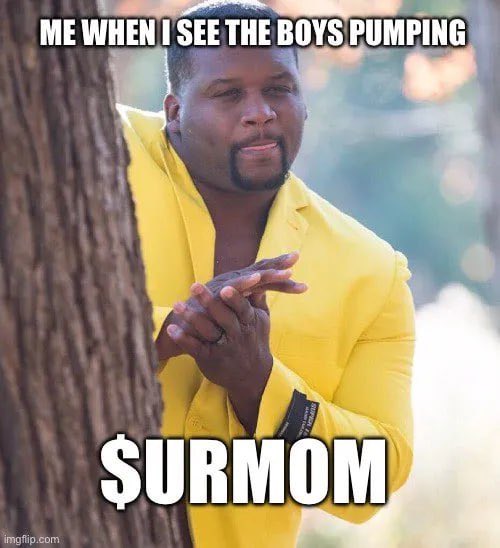 UrMomSol's tweet photo. $urmom can really throw it back https://t.co/6h0kblr7RB