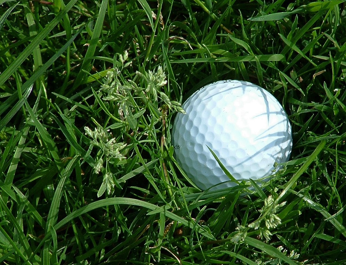 Golf Environment Awards tweet media