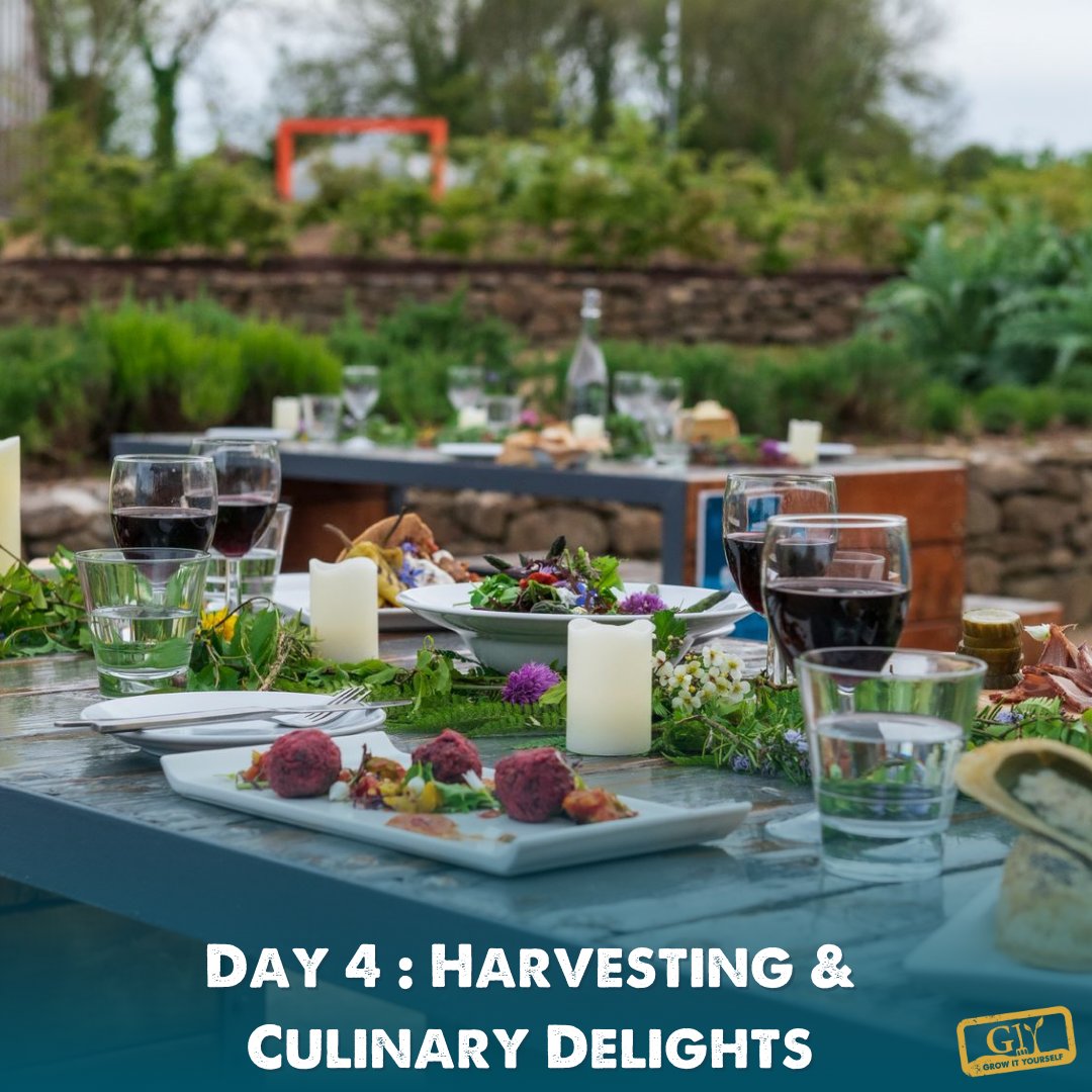 🌱Whether you're a seasoned gardener or a complete novice, our action-packed 4 day GIY Organic Home Grower Course will take you on a journey from seed to harvest, teaching you the secrets of sustainable, homegrown organic food growing. 
See the details > shop.giy.ie/products/the-o…