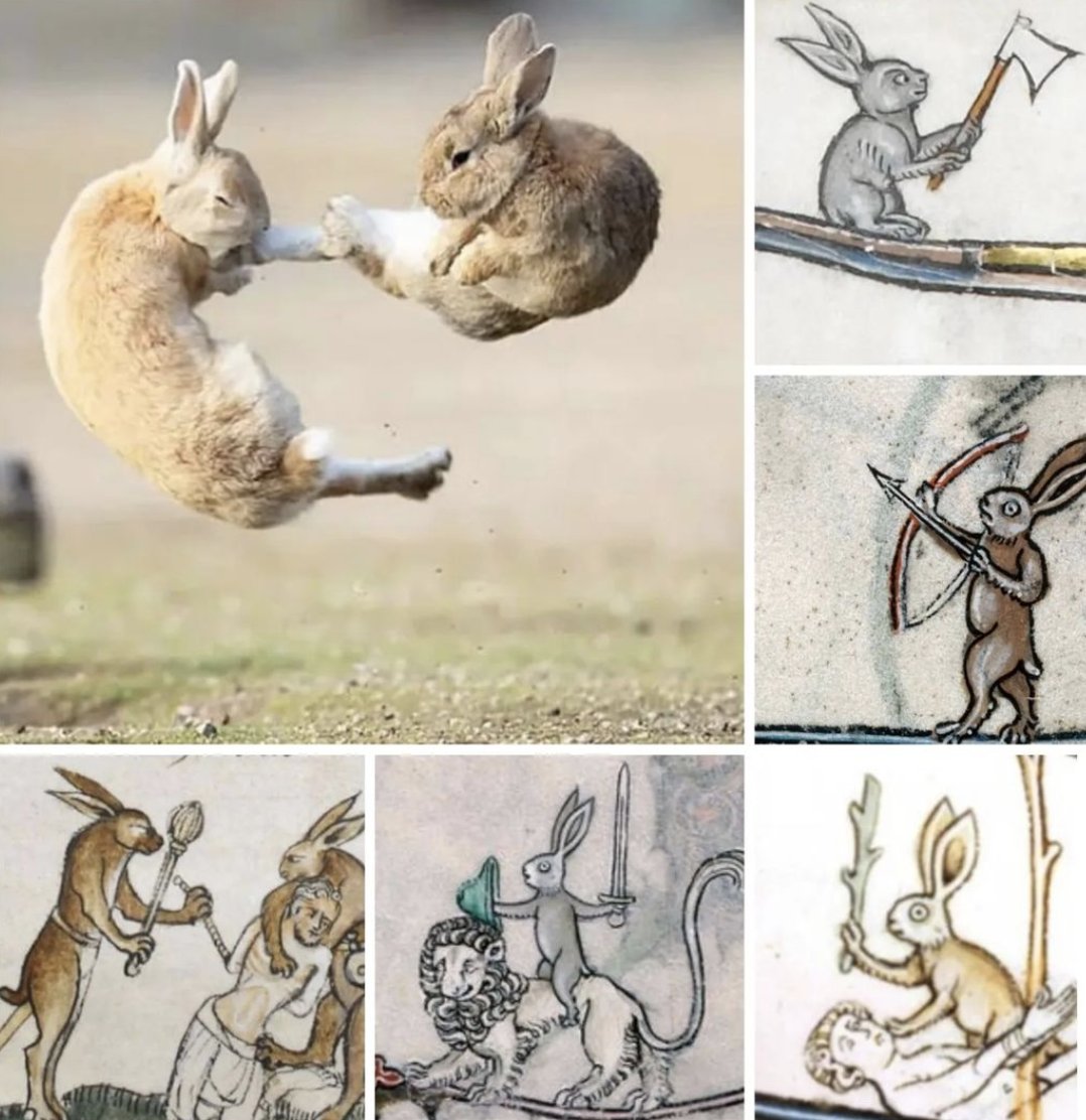 taking away their weapons at the end of the Middle Ages just made bunnies more proficient in hand-to-hand combat