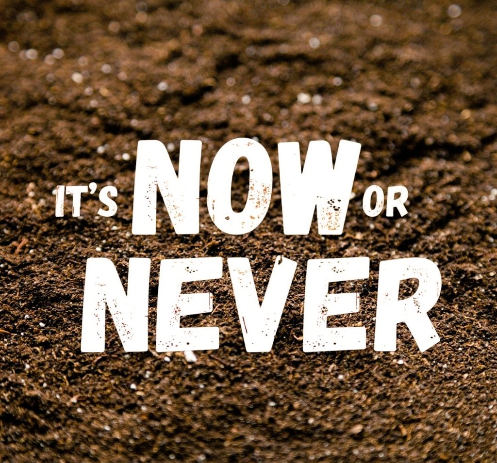 Maru_foundation's tweet photo. @Zen_Soul Indeed we would do something immediately.
#ClimateActionNow it's time to act.
Act on climate, support vulnerable communities to inform climate justice practices π
Pay solidarity for all who are on the verge of being suppressed by the crisis
#ClimateFriends #StrongerTogether https://t.co/kDaQggQzzt