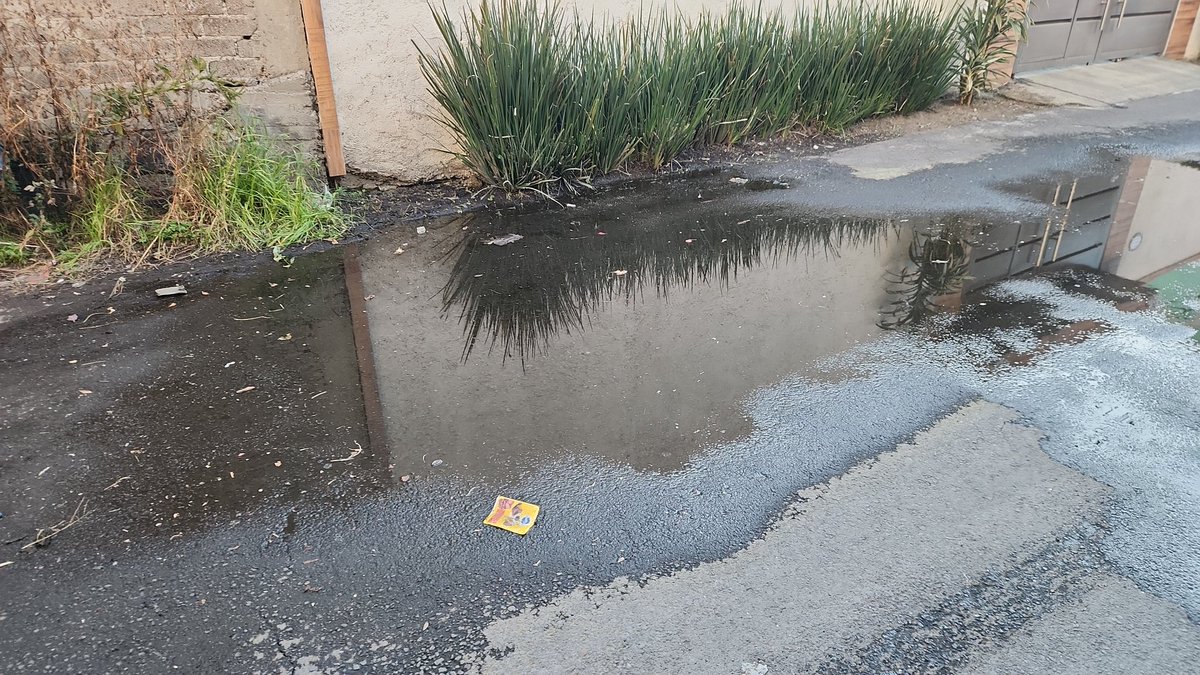 albert_lgrd's tweet photo. TLALPAN CALLE CERRADA DE FORESTAL COL ARENAL DE GUADALUPE 
FUGA DE AGUA SIN ATENDER POR PARTE DE LA ALCALDIA TLALPAN @SOBSECDMX @EnTlalpan @TlalpanAl @TlalpanConscien @TlalpanVecinos @vecinoseguro  @SoloenTlalpan https://t.co/Fm8XorDugR