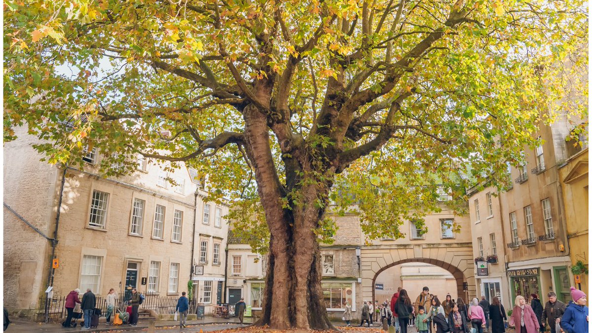 Step into Bath's timeless elegance!

From The Royal Crescent to Beaufort Square, Bath holds proudly to its history.

What are your memories of #Bath?

#Staycationuk #Coachtours #Daytrip